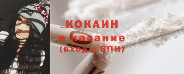 хмурый Арсеньев