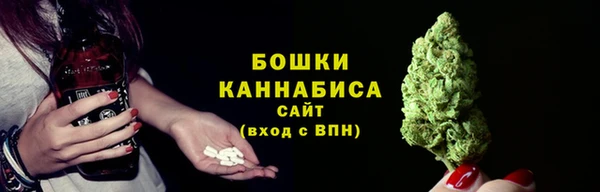 МДПВ Няндома