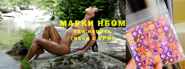индика Сосновка