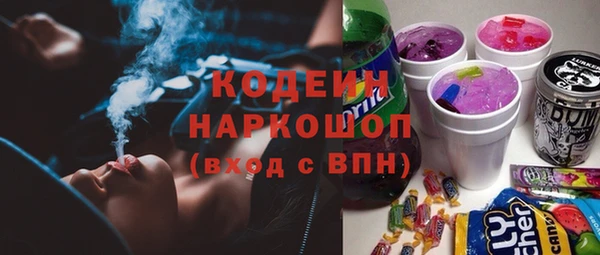 гашик Аркадак