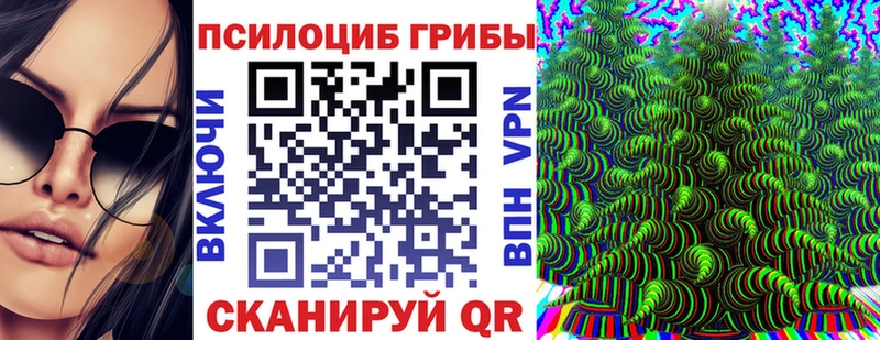 ОМГ ОМГ ТОР  Зерноград  Галлюциногенные грибы мицелий 
