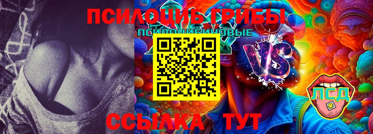 Псилоцибиновые грибы мухоморы  Зерноград  Псилоцибиновые грибы GOLDEN TEACHER 