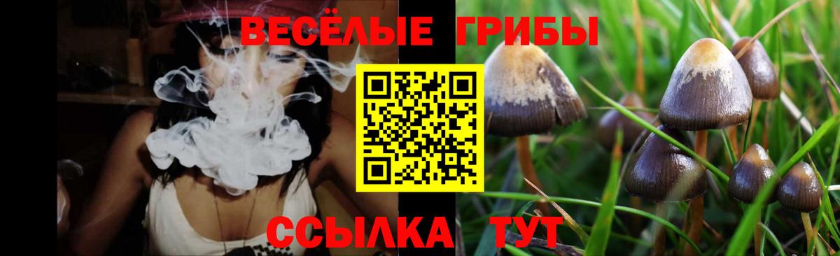 Зерноград  Галлюциногенные грибы GOLDEN TEACHER  Вход с VPN  Псилоцибиновые грибы мицелий 